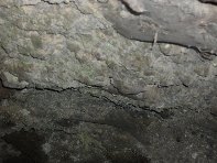 Grotta Nicodemo
